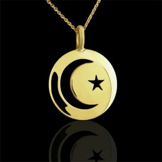 Crescent Moon and Star 14k Yellow Gold Pendant
