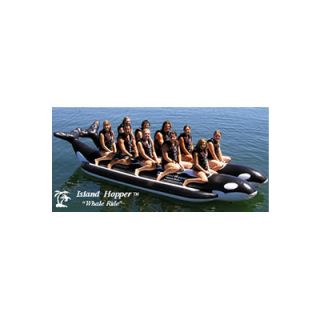 Island Hopper 10   Passenger Side By Side Heavy Commercial Whale Ride