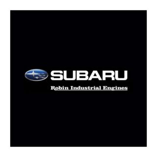Robin Subaru 30 Amp 125/250V AC Male Twist Lock Plug (L14 30P