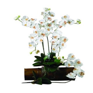 Nearly Natural Phalaenopsis Stem in Cream (Set of 12)   2044 CR 12