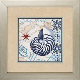 Propac Images Nautilus / Conch Framed Art (Set of 2)