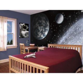 Brewster Home Fashions Ultimate Earth Galaxy Wall Mural   UMB91045