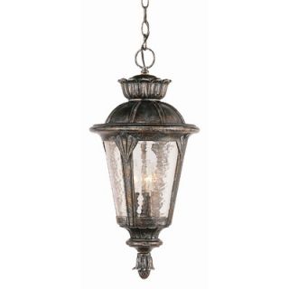 TransGlobe Lighting Outdoor Hanging Pendant in Cozumel Gold   50406