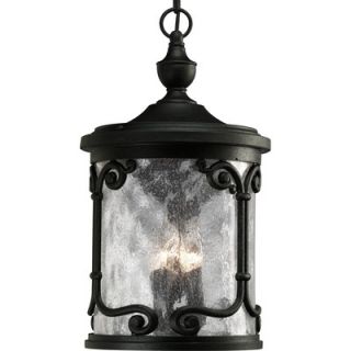 Progress Lighting Augusta Outdoor Hanging Lantern in Forged Black