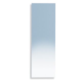 WS Bath Collections Linea 12.6 Speci Bathroom Mirror in Stainless