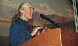 1997 35mm Negs Jane Goodall Visits Students in Chicago 96