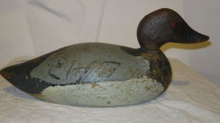 Grubbs Number 1 Perfection Drake Canvasback Decoy, Circa 1918 1928 and