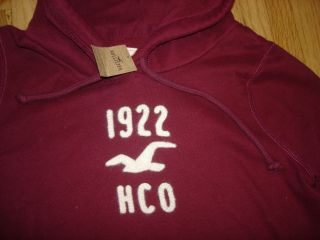 Hollister by Abercrombie Hoody sz Large NEW Hooded Sweatshirt