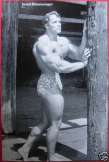 arnold schwarzenegger bodybuilding poster 3 from thailand 