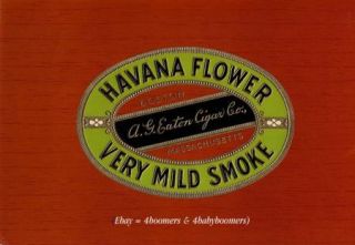 Vintage ~HAVANA FLOWER~ Antique Wood Grain 8x6 BOSTON MA Outer CIGAR