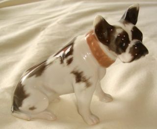 cuter than heck rosenthal porcelain boxer dog