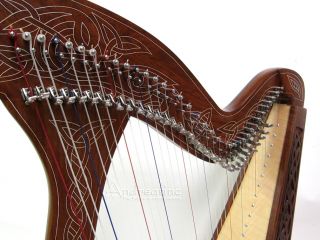  Pro Qaulity Meghan Floor Celtic Harp Combo Case Strings 3 Books