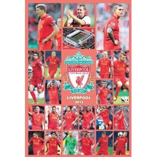 Liverpool 2013 Football Team Sport Poster 6961 Everything