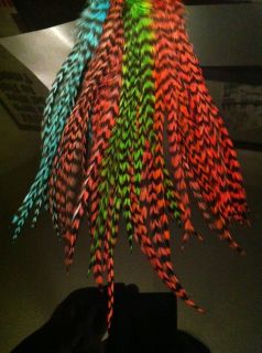 25 Grizzly Feather Hair Extensions Real Whiting Multicolor