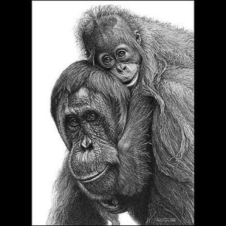 Wildlife Art Signed Print Pencil Drawing Monkey Ape Mother Cute Baby