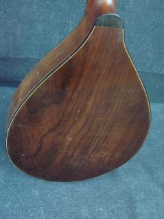  Healy Flat Back Mandolin with Case String Instrument Lyon Healy