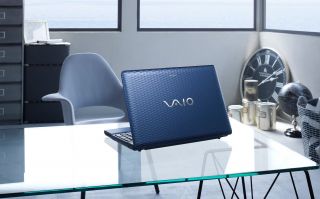 Sony VAIO EH3 Series VPCEH36FX/L 15.5 Inch Laptop