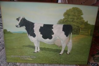 Holstein Friesian cow advertisement 1923 Edwin Megargee artist