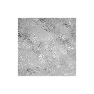  Charcoal Dust 10 x 20 (3 x 6m) Muslin Background: Camera & Photo