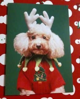 One Poodle Christmas Sweater Antlers Dog Holiday Card New