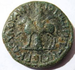  Roman Bronze Coin Hippos Sussita Archaeology