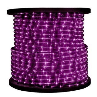 Purple   Chasing Rope Light   1/2 in.   2 Wire   120 Volt