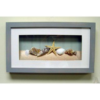 Shell Seashell Starfish Fish Bathroom Room Shadow Box Wall