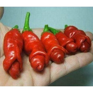 Peter Pepper Red Hot Pepper 10+ seeds Patio, Lawn