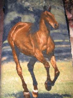 Cotton Velour Horse Towel
