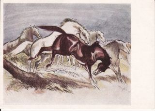 1960 Artist Signed Cefischer Fantasy Horse Postcard