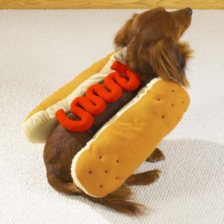 Hot Dog Halloween Pet Costume All Sizes Mustard or Ketchup Weiner Bun
