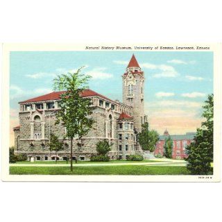 1930s Vintage Postcard   Natural History Museum