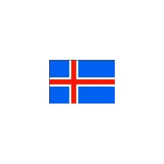2 ft. x 3 ft. Iceland Flag for Parades & Display Patio