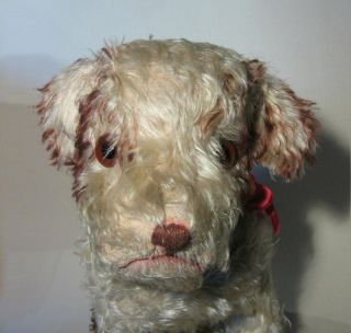  Eduard Crämer Drolly Hund Stuffed Dog Steiff’s Molly Like