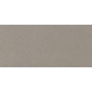 Canson MiTientes Touch Paper 122 Flannel Grey 22 x 30 Inch