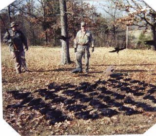 Predator Mtn Crow Hunting Game Call Cd Turn On And HuntLive Crow
