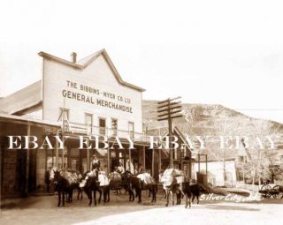 1880s Silver City Idaho ID Prospector Gold Mine Miner Mining Mules