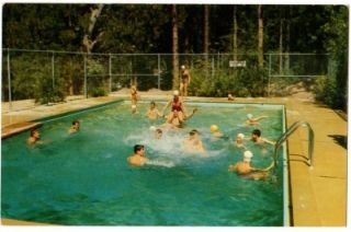 Idyllwild CA 1950s Tahquitz Pine Swimming Pool Postcard