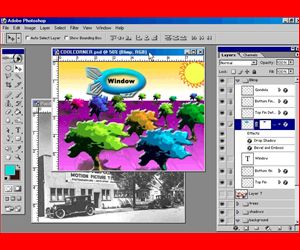  Collection Training 3 DVD Photoshop 7 InDesign 2 Illustrator 10