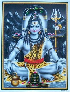 Lord Shiva in Meditation Dhyan Samadhi Poster 9x11 1756