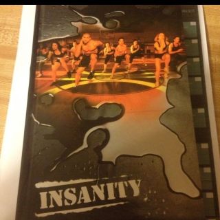 Insanity Workout 60 Day Total Body Workout 13 Disks