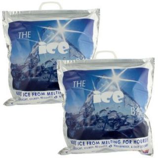 Insulated Ice Bags Sturdy Waterproof Reusable Totes Food Drinks