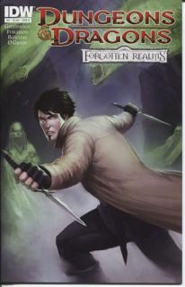Dungeons Dragons Forgotten Realms 5 IDW Publishing Cover A