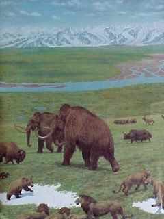Among the mammals depicted are caribou, antelope, fox, lynx, musk ox