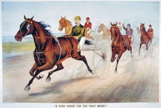 John Cameron Buggy Racing Horse Art Posters Prints 1886