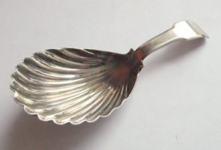 Fine Georgian Silver Clam Shell Bowl Caddy Spoon London 1814 John Shea  