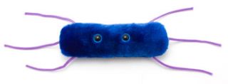 Giant Microbes Listeria 2010 New Plush Low Shipping  
