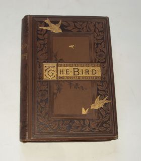 The Bird by Jules Michelet Nests Birds Eggs Migration The Song Nightingale 1883  