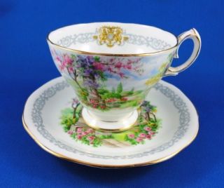 Queen Anne  Royal Kew Gardens  Tea Cup and Saucer Set