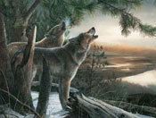 Call of the Wild by Kevin Daniel Wildlife Two Wolves Open Edition